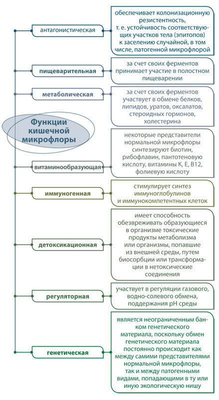 Энтерол® 250: эффективная профилактика осложнений на фоне антибиотикотерапии