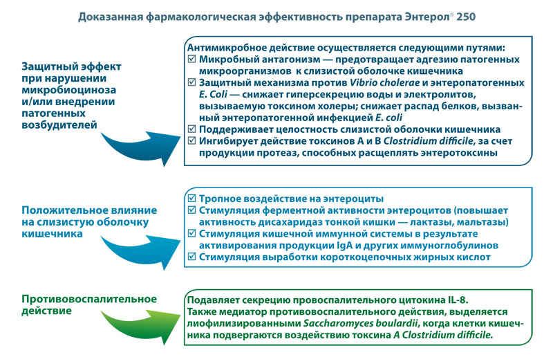 Энтерол® 250: эффективная профилактика осложнений на фоне антибиотикотерапии