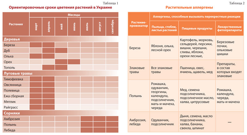 Конъюнктивит! Что делать, когда он аллергический?