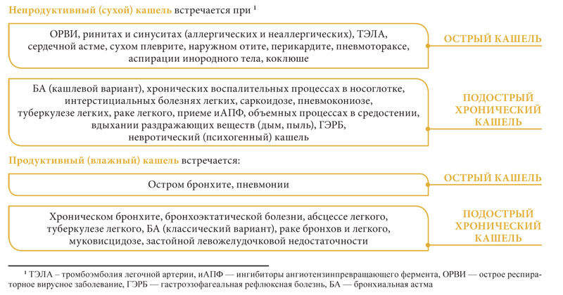 Что поможет кашель одолеть?!