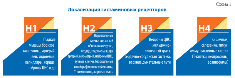 Новые тенденции в антигистаминной терапии