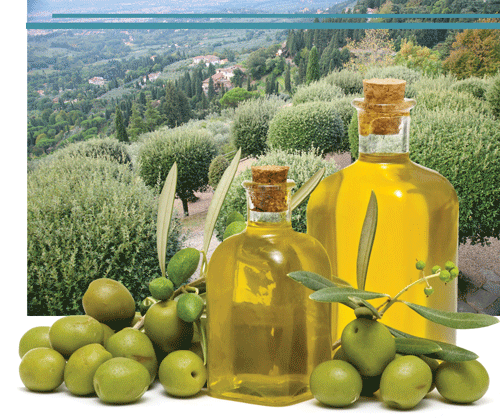 Oleum Olivarum: целебная сила природы
