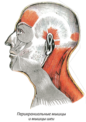 03_flugesic_pic