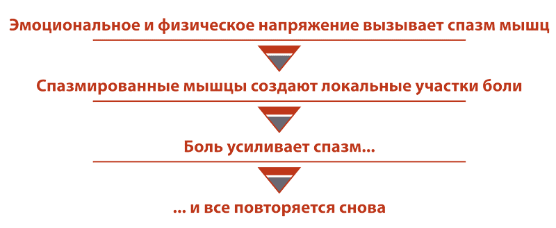 03_flugesic_cxema_1