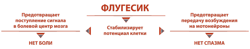 03_flugesic_cxema_2