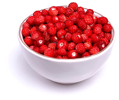 Fragaria vesca: кладезь витаминов