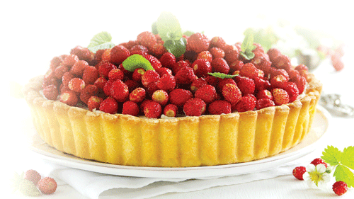 Fragaria vesca: кладезь витаминов