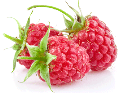 Rubus idaeus: секрет здоровья и долголетия!