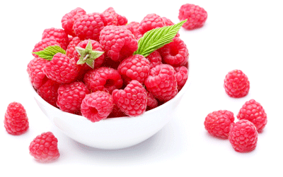 Rubus idaeus: секрет здоровья и долголетия!