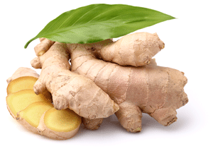 Zingiber officinale: жизненный тонус под контролем