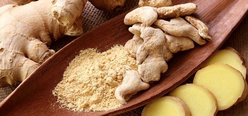 Zingiber officinale: жизненный тонус под контролем