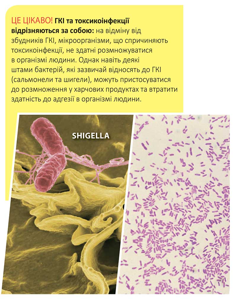 Зневоднення — це небезпечно!