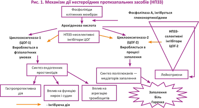 ЗОТЕК® - потужний удар у центр болю і запалення