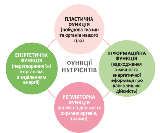 Харчування: користь і шкода харчових та нехарчових компонентiв