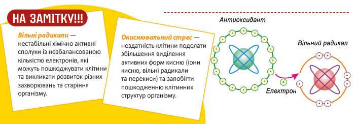 ДОППЕЛЬГЕРЦ® АКТИВ КУРКУМІН + ВІТАМІН D ТА ДОППЕЛЬГЕРЦ® АКТИВ СЕЛЕН — сила природних антиоксидантів