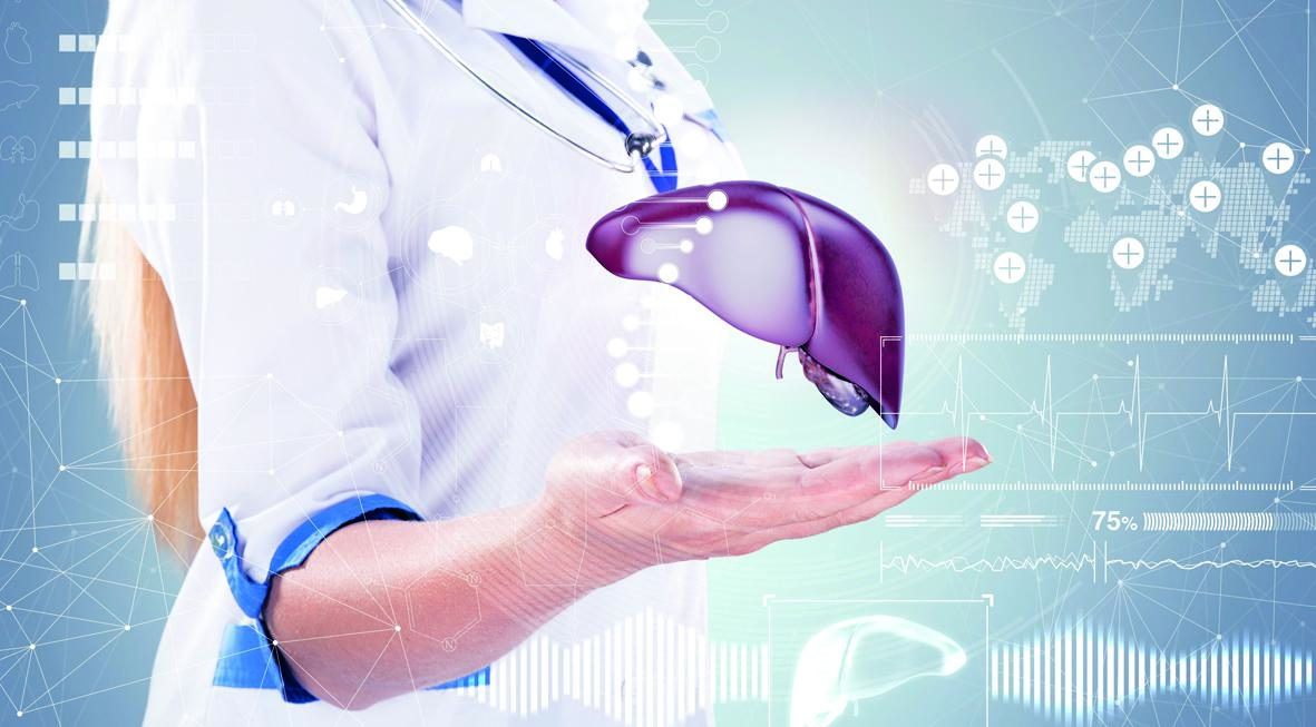 Артіхол: сила природи на захисті печінки та жовчного міхура