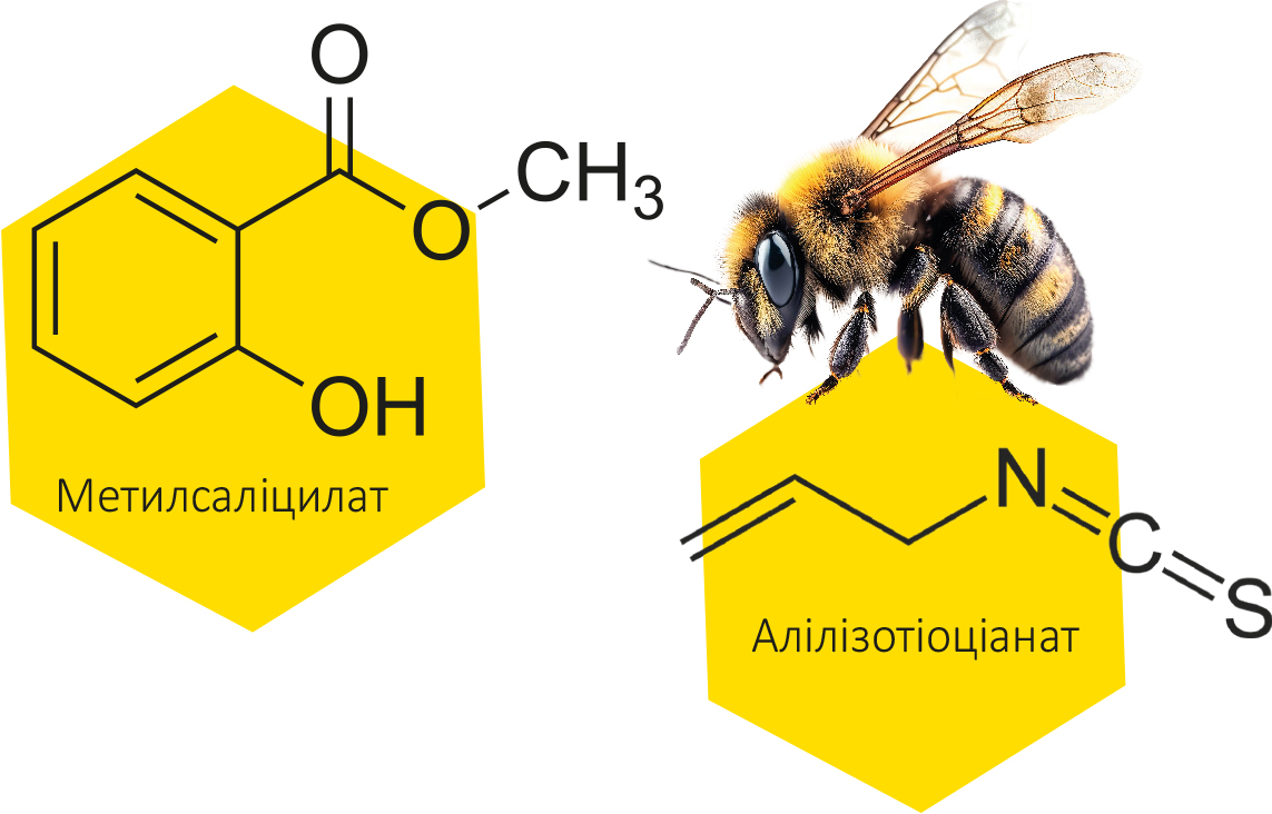 АПІЗАРТРОН® — зігріває та рятує від болю і запалення