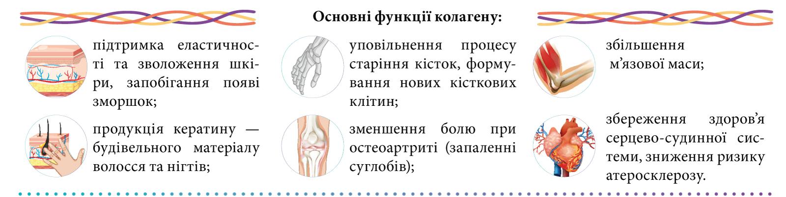 Сила колагену в одному стіку: просте рішення для збереження здоров’я шкіри та суглобів