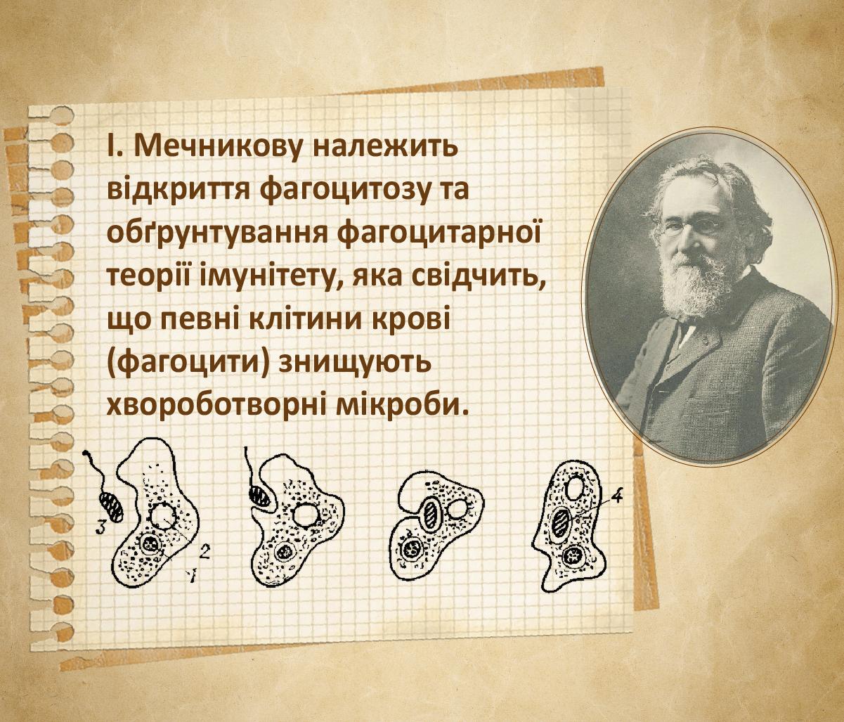 Наукова спадщина Іллі Ілліча Мечникова