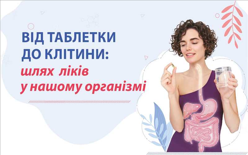 Від таблетки до клітини: шлях ліків у нашому організмі