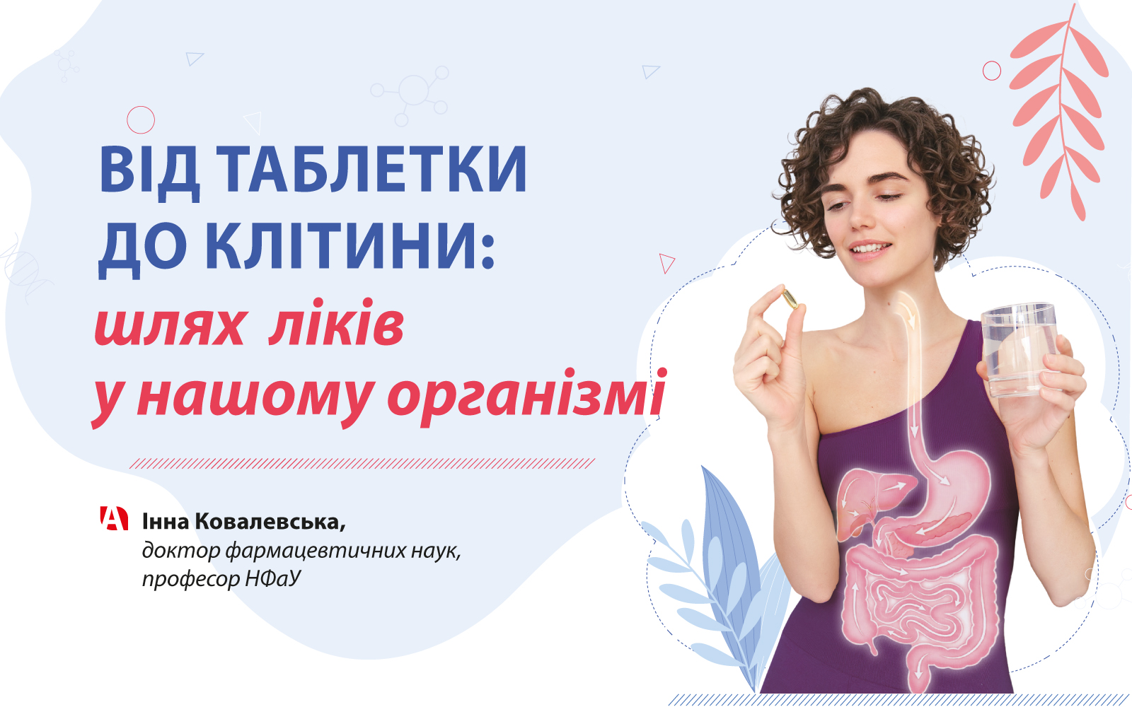 Від таблетки до клітини: шлях ліків у нашому організмі