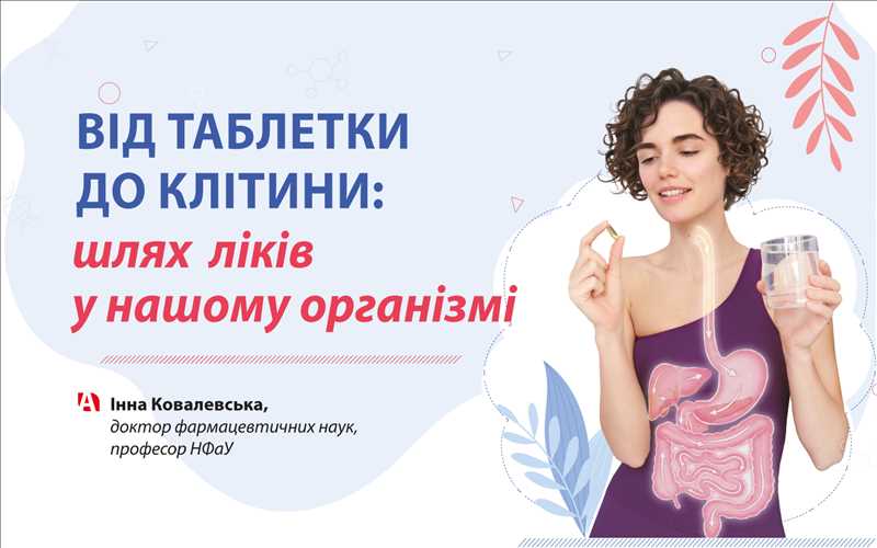 Від таблетки до клітини: шлях ліків у нашому організмі