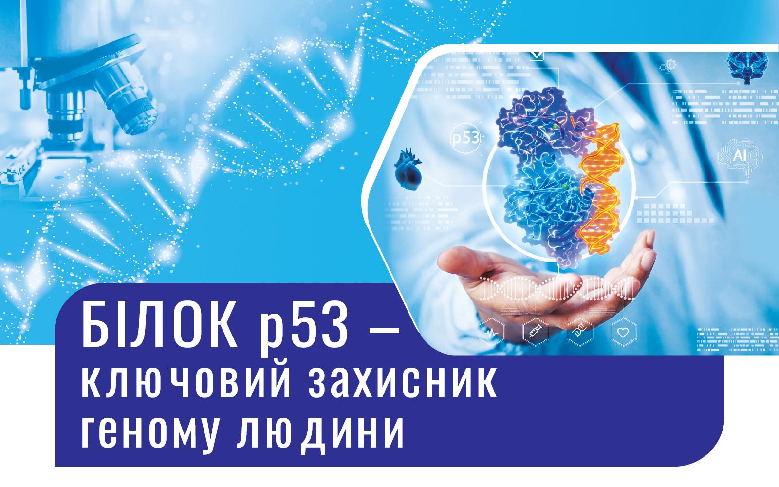 БІЛОК р53 – ключовий захисник геному людини
