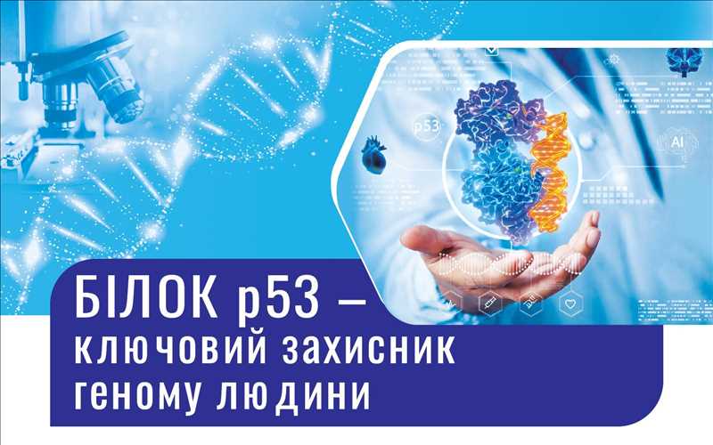 БІЛОК р53 – ключовий захисник геному людини