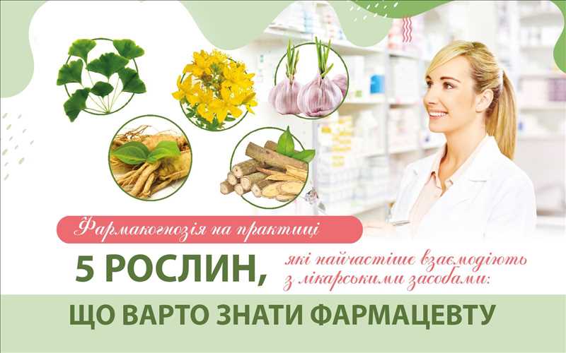 Фармакогнозія на практиці. 5 рослин, які найчастіше взаємодіють з лікарськими засобами: що варто знати фармацевту