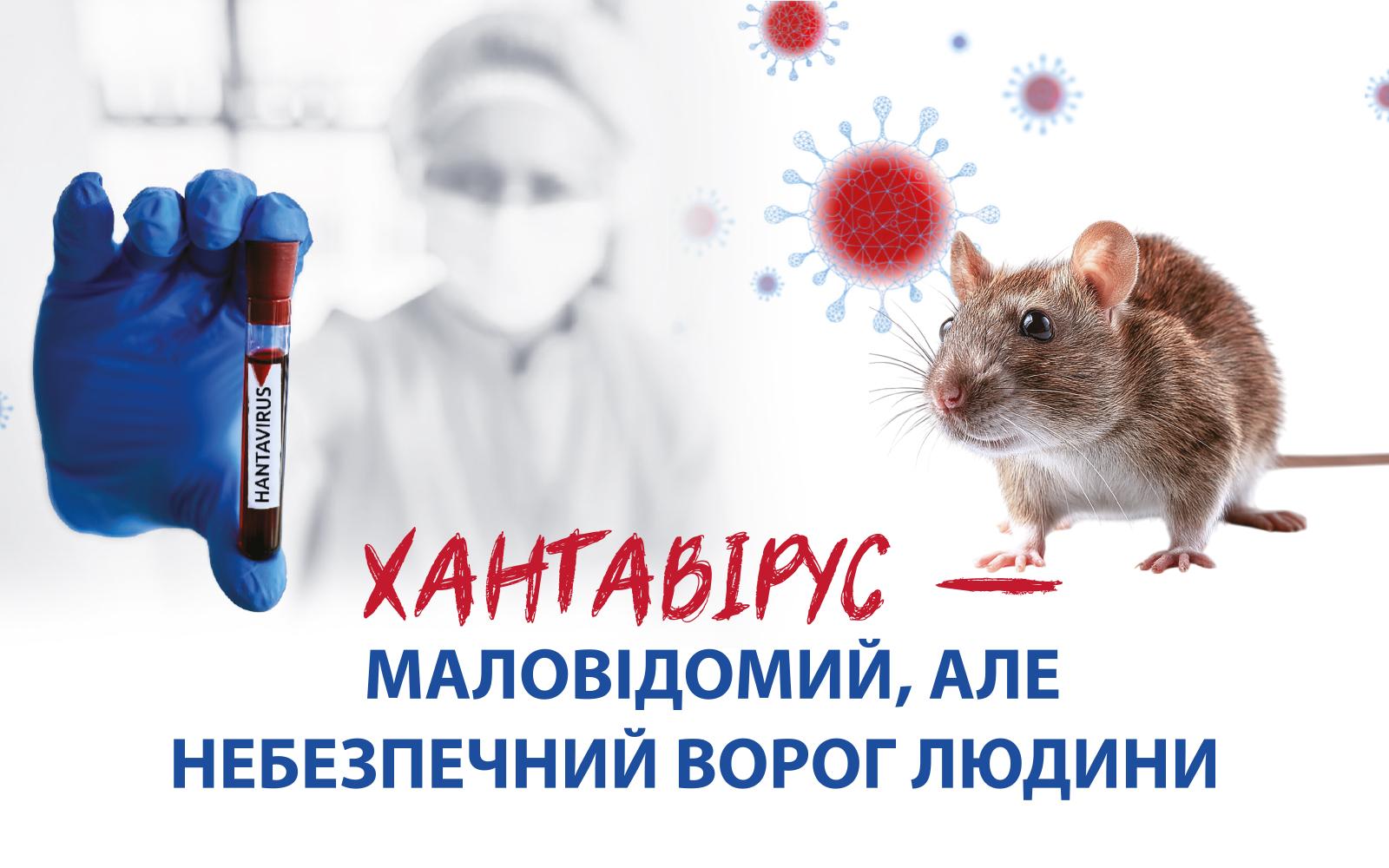 Хантавiрус — маловідомий, але небезпечний ворог людини