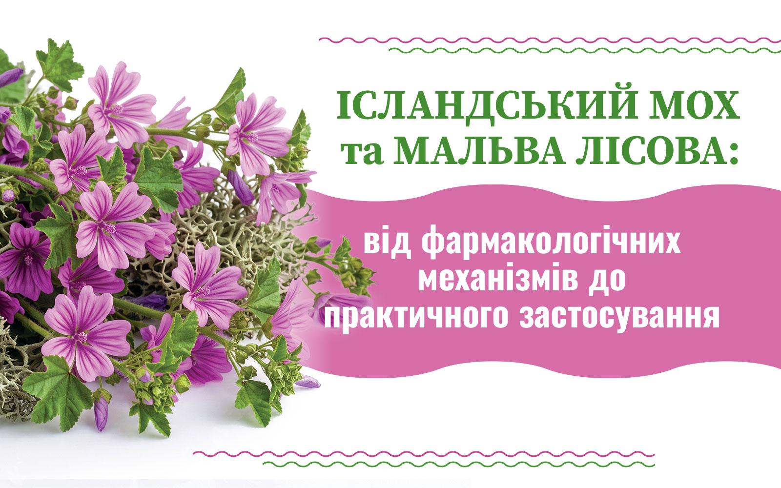 Ісландський мох та мальва лісова: від фармакологічних механізмів до практичного застосування