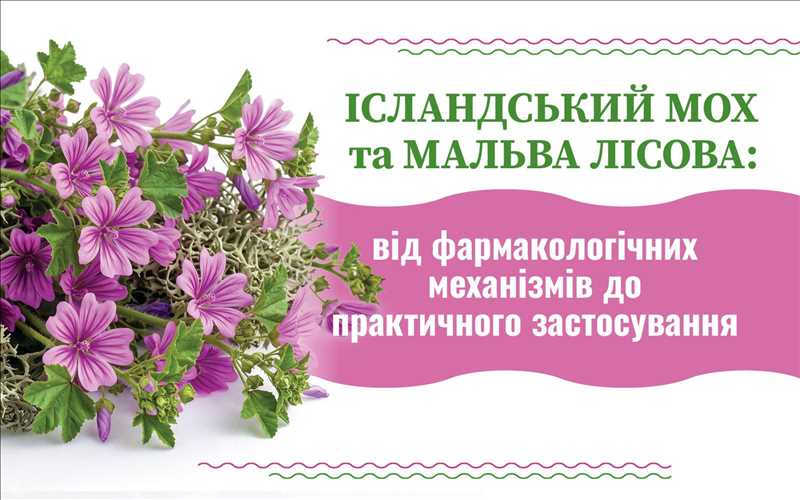 Ісландський мох та мальва лісова: від фармакологічних механізмів до практичного застосування