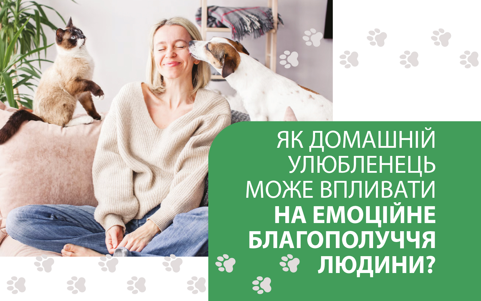 ЯК ДОМАШНІЙ УЛЮБЛЕНЕЦЬ МОЖЕ ВПЛИВАТИ НА ЕМОЦІЙНЕ БЛАГОПОЛУЧЧЯ ЛЮДИНИ?