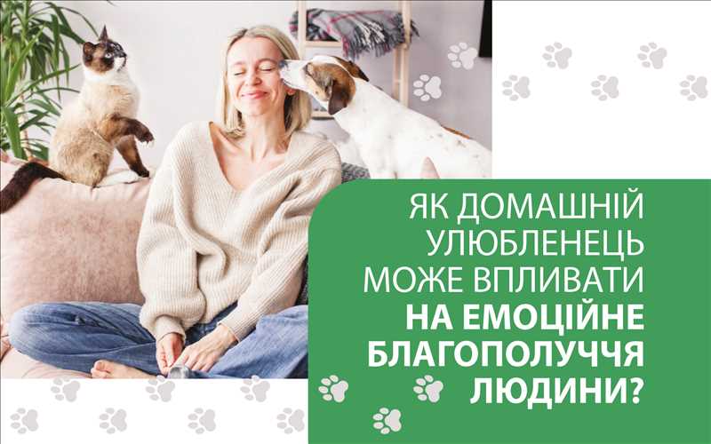 ЯК ДОМАШНІЙ УЛЮБЛЕНЕЦЬ МОЖЕ ВПЛИВАТИ НА ЕМОЦІЙНЕ БЛАГОПОЛУЧЧЯ ЛЮДИНИ?